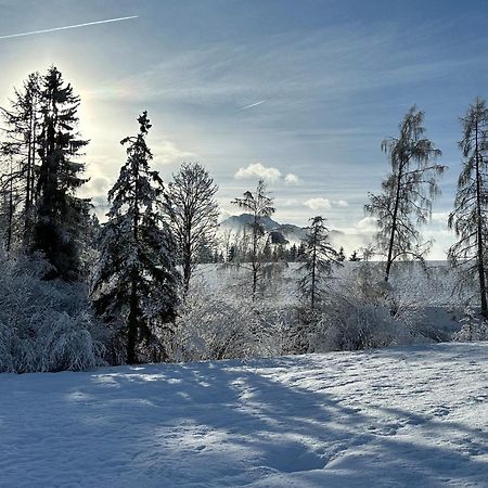 Bio-Holzhaus Und Landhaus Heimat Рамзау ам Дахщайн Екстериор снимка