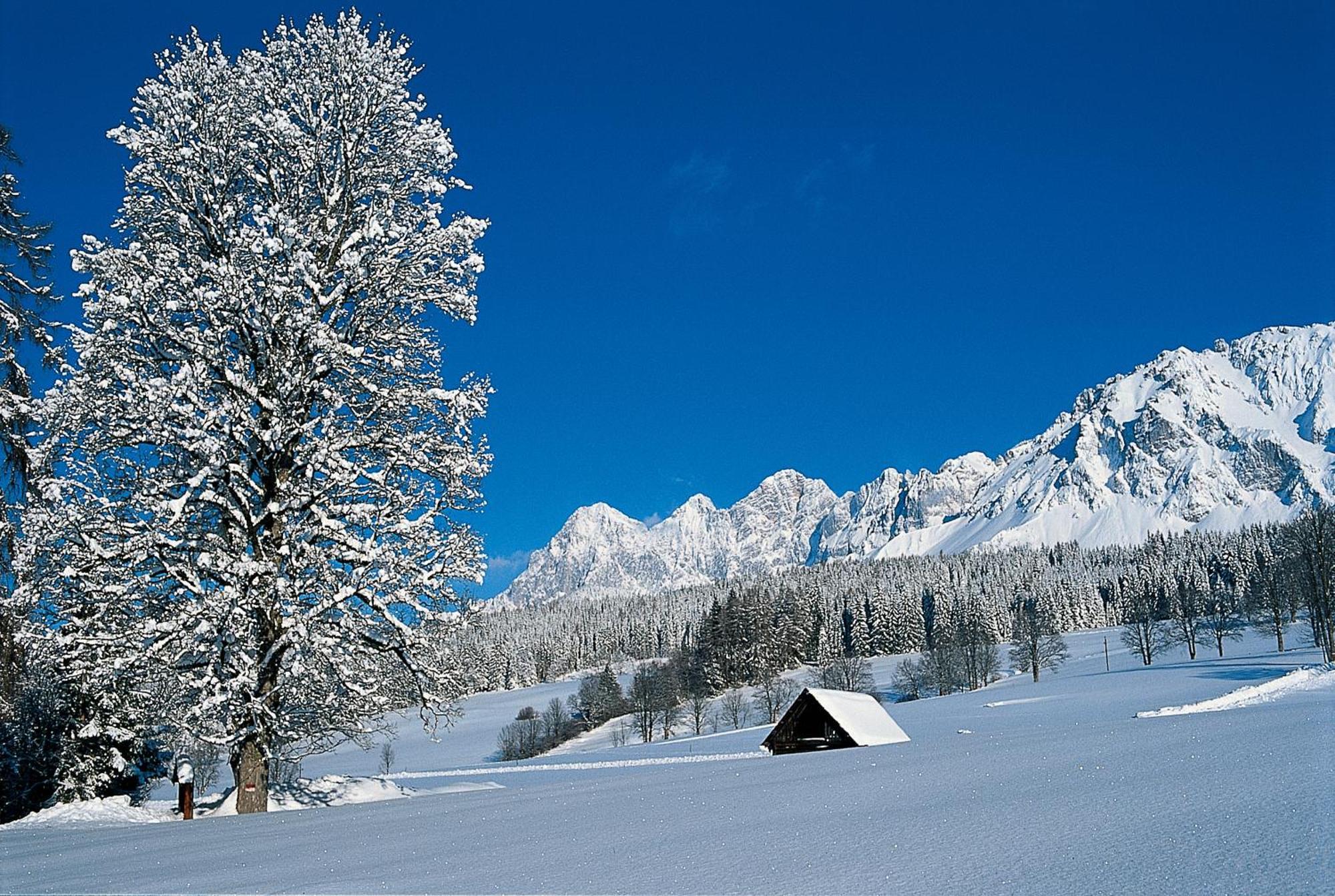 Bio-Holzhaus Und Landhaus Heimat Рамзау ам Дахщайн Екстериор снимка