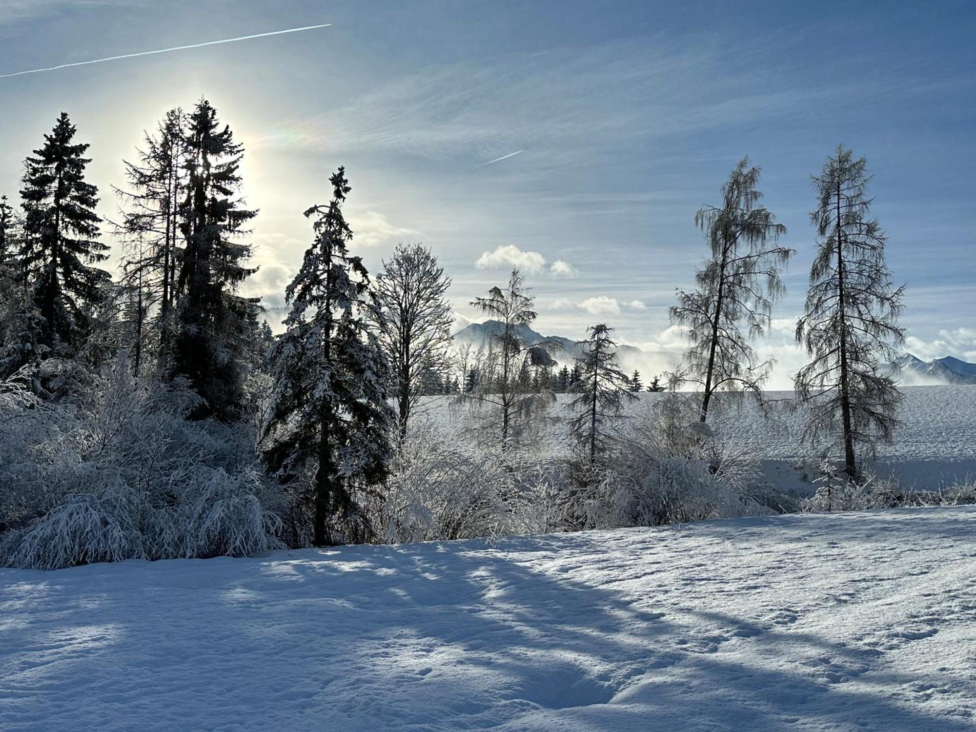 Bio-Holzhaus Und Landhaus Heimat Рамзау ам Дахщайн Екстериор снимка
