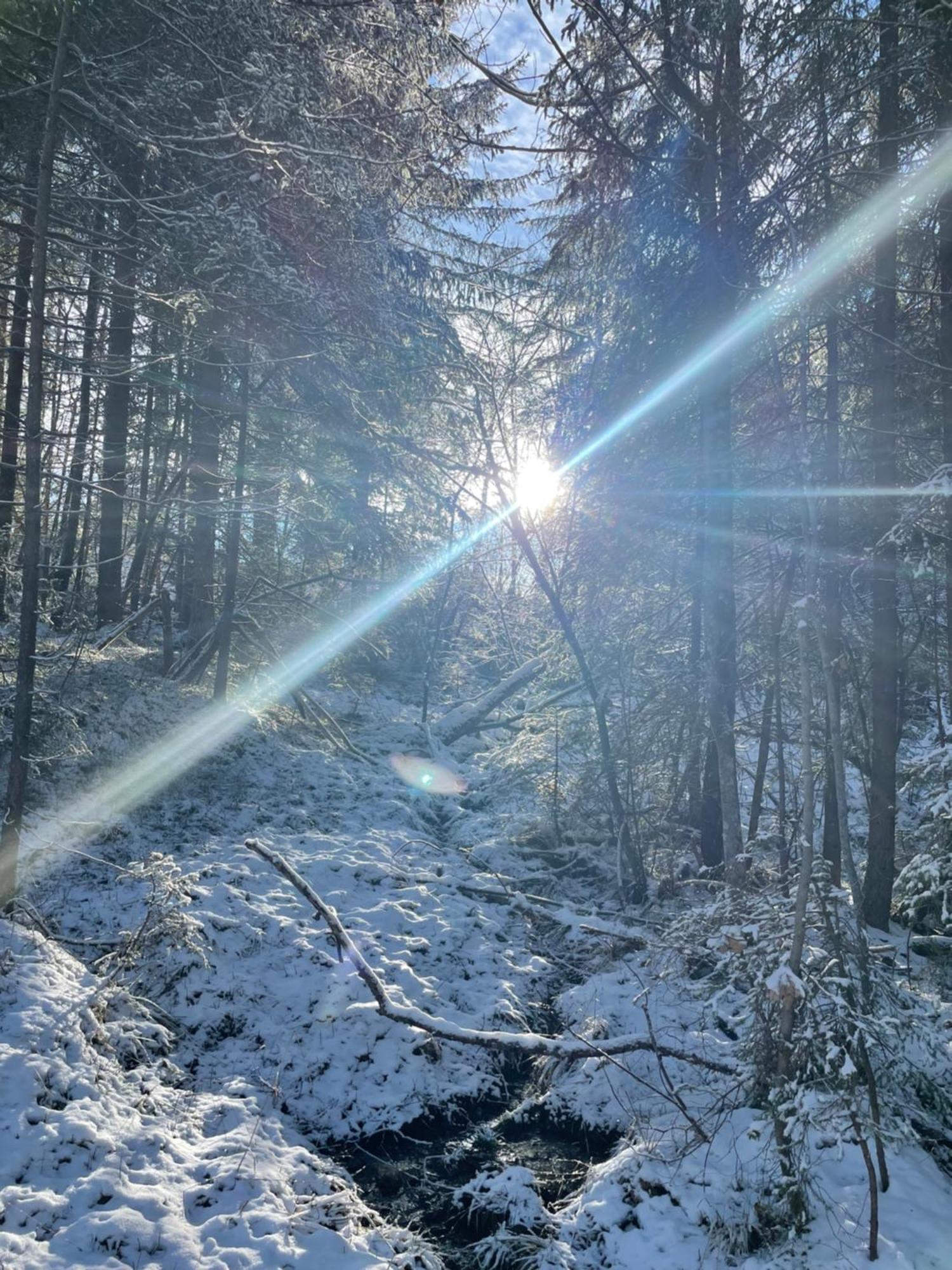 Bio-Holzhaus Und Landhaus Heimat Рамзау ам Дахщайн Екстериор снимка
